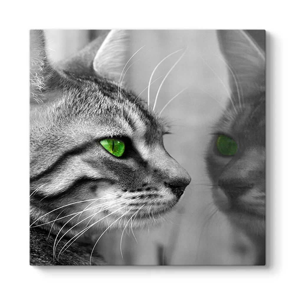 Yeşil Gözlü Kedi Tablosu - Model 3
